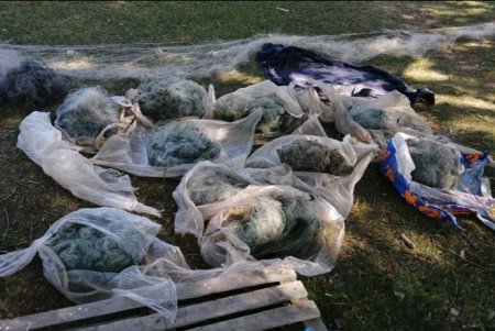 Пограничники Одесской области изъяли более километра браконьерских сетей и три лодки