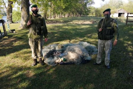 Пограничники Одесской области изъяли более километра браконьерских сетей и три лодки
