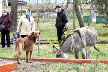 Немноголюдно на популярном пляже «Лузановка» (фоторепортаж)