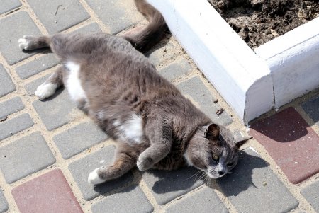 Немноголюдно на популярном пляже «Лузановка» (фоторепортаж)