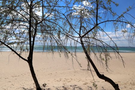 Немноголюдно на популярном пляже «Лузановка» (фоторепортаж)