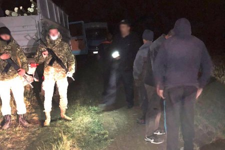 Пятеро нарушителей уничтожали лес в Тарутинском районе (фото)