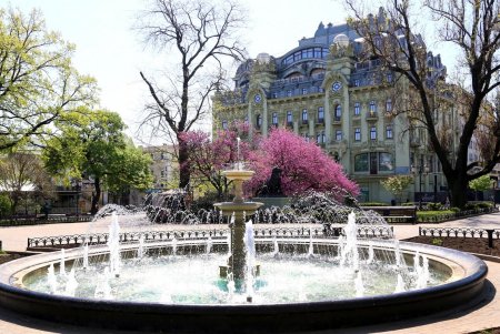 Конец апреля в центре Одессы (фоторепортаж)