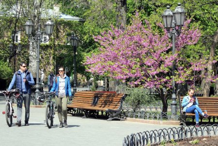 Конец апреля в центре Одессы (фоторепортаж)
