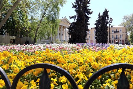 Конец апреля в центре Одессы (фоторепортаж)