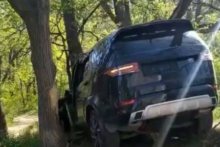 На парковке ресторана женщина за рулем Land Rover перепутала педали и врезалась в дерево (фото)