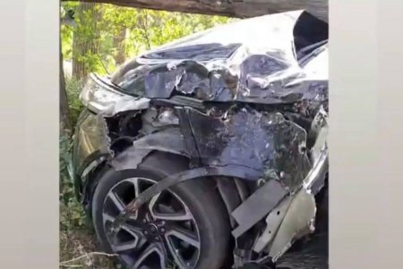 На парковке ресторана женщина за рулем Land Rover перепутала педали и врезалась в дерево (фото)