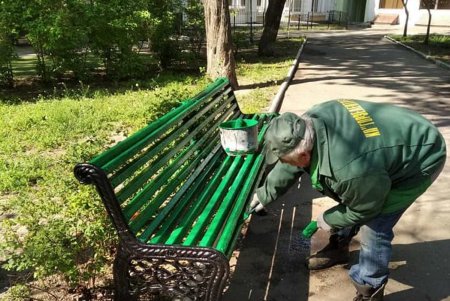 Коммунальщики привели в надлежащий вид памятники, провели уборку и отреставрировали скамейки (фото)