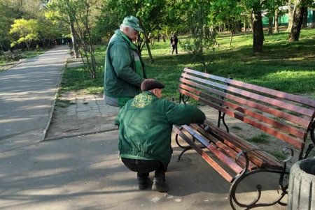 Коммунальщики привели в надлежащий вид памятники, провели уборку и отреставрировали скамейки (фото)