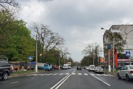 На улицах с интенсивным движением устанавливают новый светофор и обновляют дорожную разметку(фото)