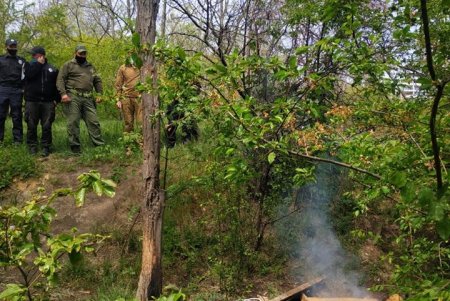 Никаких шашлыков и пикников: правоохранители проводят рейд в предполагаемых местах отдыха (фото)