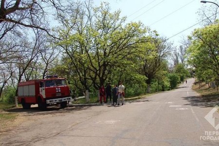 Одесситы вышли праздновать 1 мая в парки и на побережье, несмотря на карантин (фото)