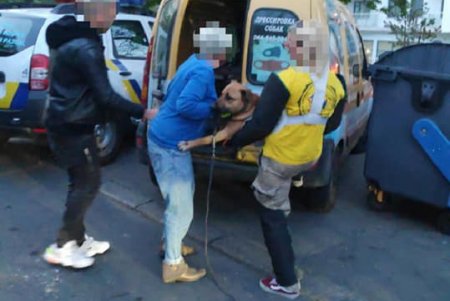 Патрульным пришлось выстрелить в пса, которого на них натравил владелец животного (фото)
