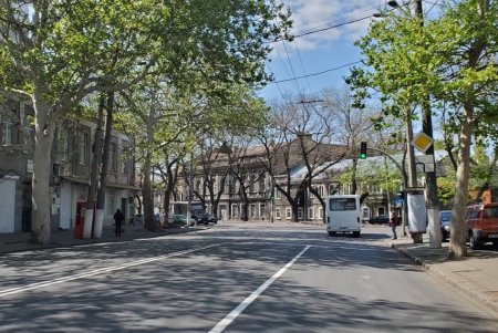 За месяц обновлена разметка более чем на 40 улицах города (фото)