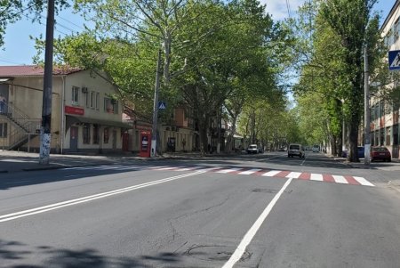 За месяц обновлена разметка более чем на 40 улицах города (фото)