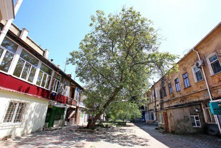 Улица Ришельевская, карантинная (фоторепортаж)