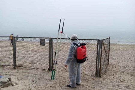 К началу курортного сезона в городе провели обследование морского дна на пляжах и установили спасательные базы (фото)