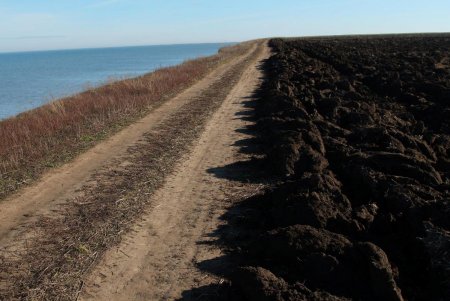 На участке НПП «Тузловские лиманы», недавно возвращенном заповеднику, восстанавливается степная экосистема (фото)