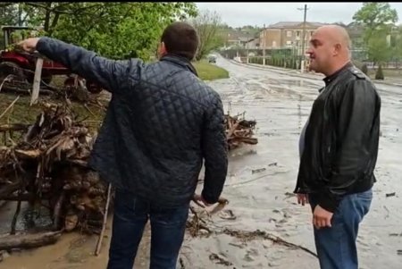 Непогода обрушилась на Одесскую область: подтоплены дома и повалены деревья (фото)
