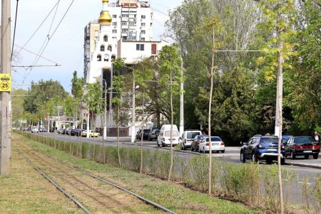 «Зеленый тоннель» создан на Большом Фонтане (фоторепортаж)