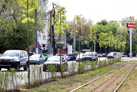 «Зеленый тоннель» создан на Большом Фонтане (фоторепортаж)