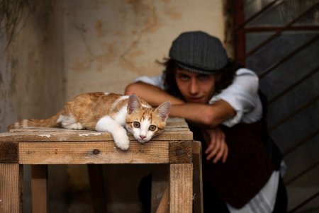 Онлайн-фотовыставка котов из 11 стран мира проходит в Одессе (фото)