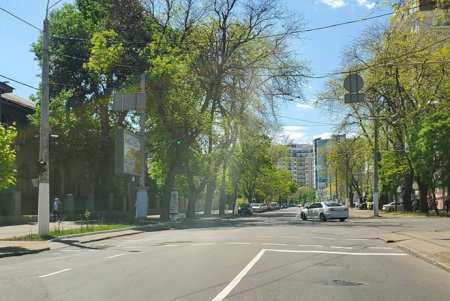 На двух улицах в Приморском районе коммунальщики нанесли свежую разметку (фото)