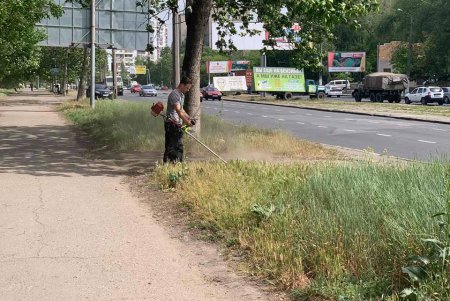 Очистить пруды и скосить траву: арендаторов обязали привести в порядок Дюковский парк