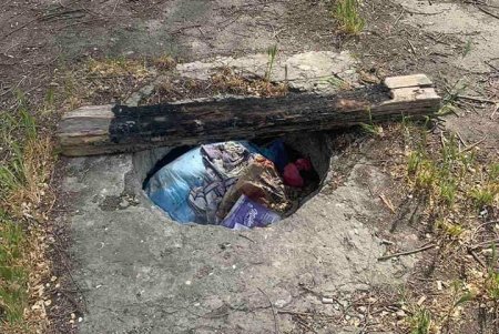 Очистить пруды и скосить траву: арендаторов обязали привести в порядок Дюковский парк
