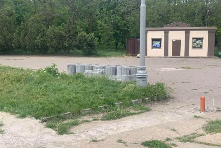 Очистить пруды и скосить траву: арендаторов обязали привести в порядок Дюковский парк