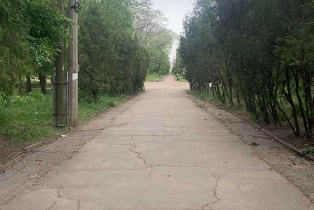 Очистить пруды и скосить траву: арендаторов обязали привести в порядок Дюковский парк