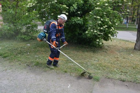 Косили траву, мыли дороги, убирали улицы: в Киевском районе состоялся санитарно-технический день (фото)