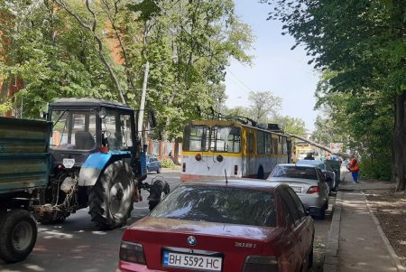Крупная ветка упала на автомобили на Успенской (фото, видео)