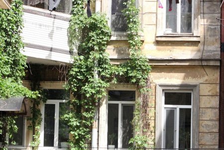 Прогулка по Базарной: исторические здания и современные высотки старинной улицы (фоторепортаж) 