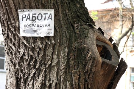 Прогулка по Базарной: исторические здания и современные высотки старинной улицы (фоторепортаж) 