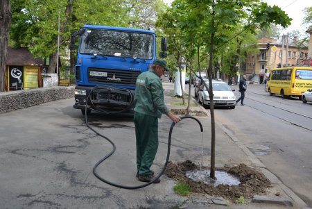 Смывали надписи, убирали улицы и чердаки домов: коммунальщики провели санитарно-технический день в Приморском районе (фото)