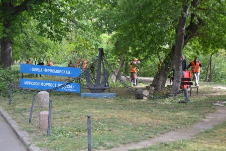 Смывали надписи, убирали улицы и чердаки домов: коммунальщики провели санитарно-технический день в Приморском районе (фото)
