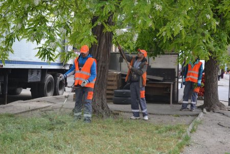 Смывали надписи, убирали улицы и чердаки домов: коммунальщики провели санитарно-технический день в Приморском районе (фото)