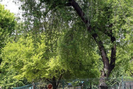  Одесский зоопарк принял первых посетителей (фоторепортаж)
