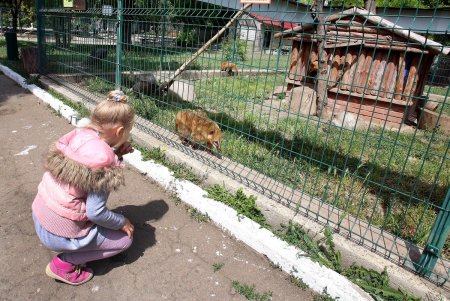  Одесский зоопарк принял первых посетителей (фоторепортаж)