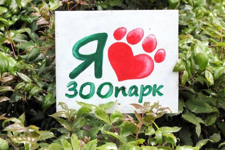  Одесский зоопарк принял первых посетителей (фоторепортаж)