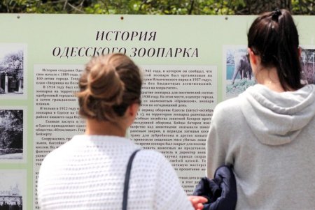  Одесский зоопарк принял первых посетителей (фоторепортаж)