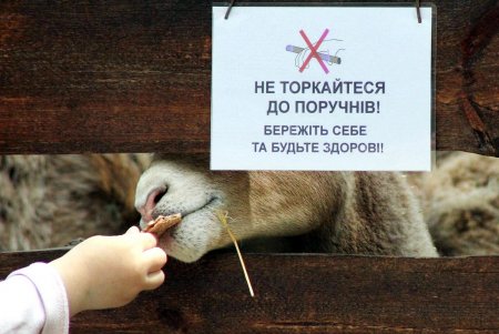  Одесский зоопарк принял первых посетителей (фоторепортаж)
