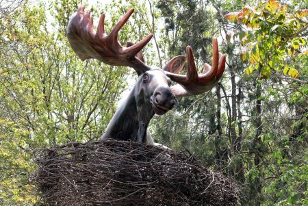  Одесский зоопарк принял первых посетителей (фоторепортаж)