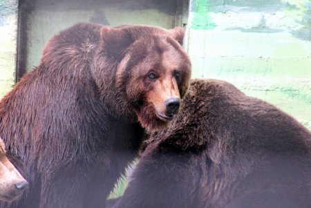  Одесский зоопарк принял первых посетителей (фоторепортаж)