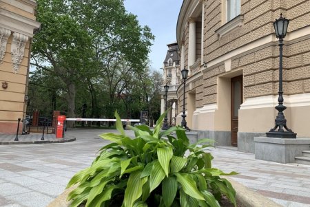 Между Оперным театром и Пале-Роялем отремонтировали плиточное покрытие (фото)