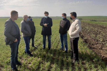 Государство предоставит одесским фермерам, пострадавшим от засухи, компенсацию - пять тысяч гривен за гектар (фото)