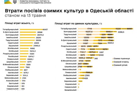 Государство предоставит одесским фермерам, пострадавшим от засухи, компенсацию - пять тысяч гривен за гектар (фото)