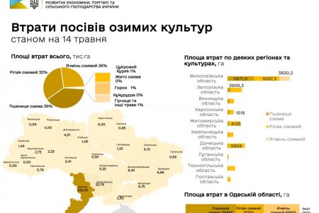 Государство предоставит одесским фермерам, пострадавшим от засухи, компенсацию - пять тысяч гривен за гектар (фото)