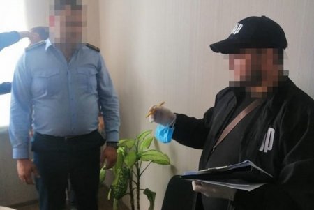 ГБР сообщило о подозрении во взяточничестве двум чиновникам Одесской таможни (фото)